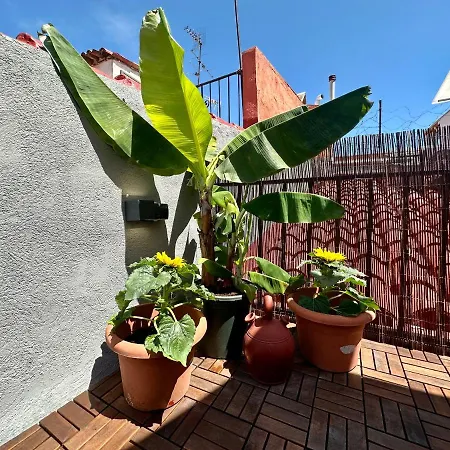 Apartment Little Horse 3 *