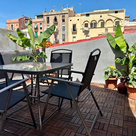 Apartment Little Horse 3 *